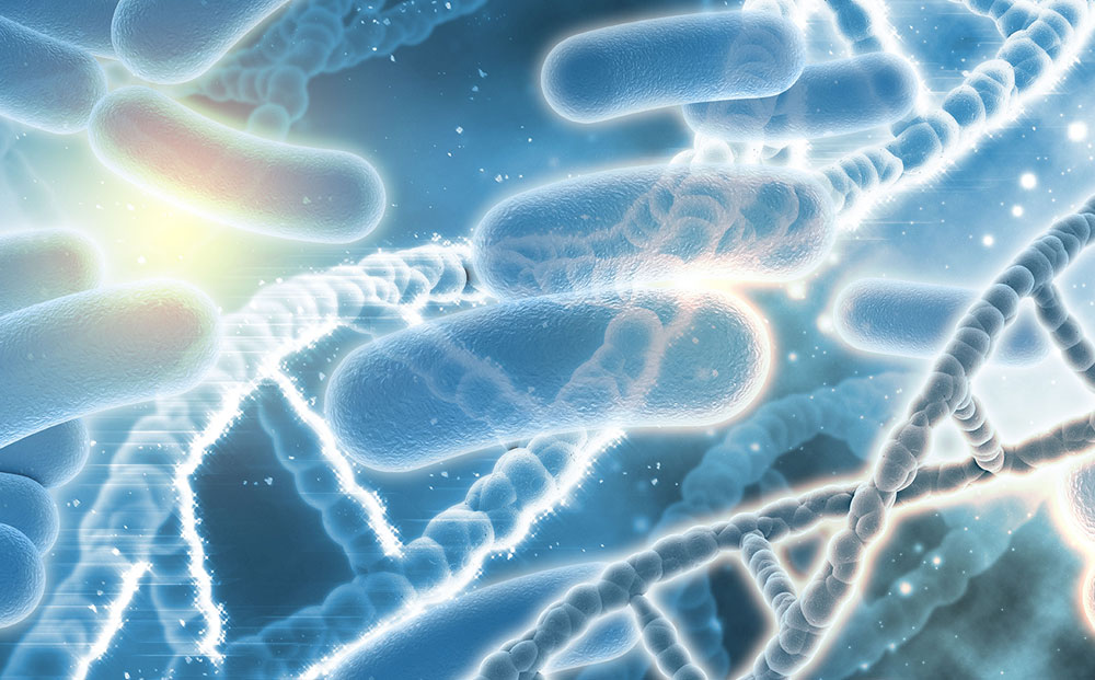 História objavu a vývoja probiotík