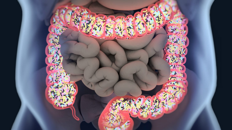 Ako zistíte, že probiotiká fungujú?