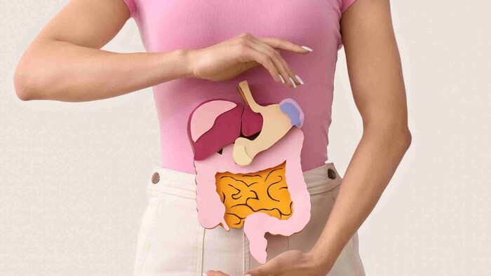 Probiotiká a ich vplyv na trávenie