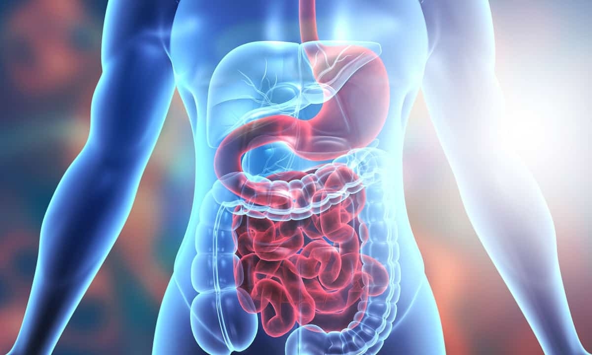 Súvislosť medzi probiotikami a zdravím tráviacím traktom