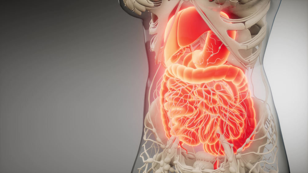 Využitie probiotík pri syndróme dráždivého čreva (IBS)