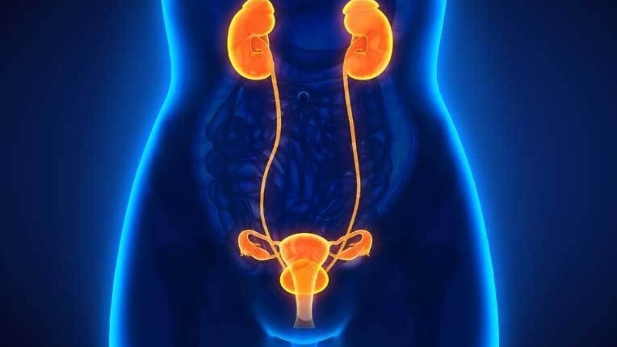 Ako rozpoznať, či ide o zápal močových ciest alebo niečo iné?