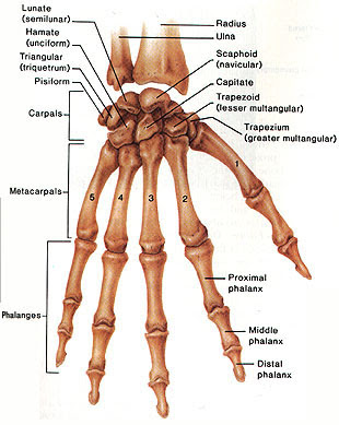klby8