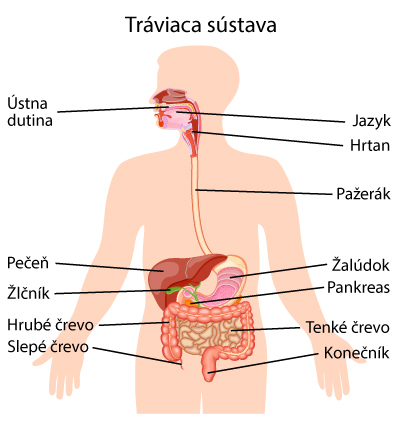 travenie
