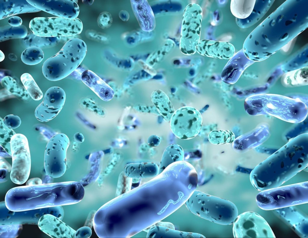 probiotika_2
