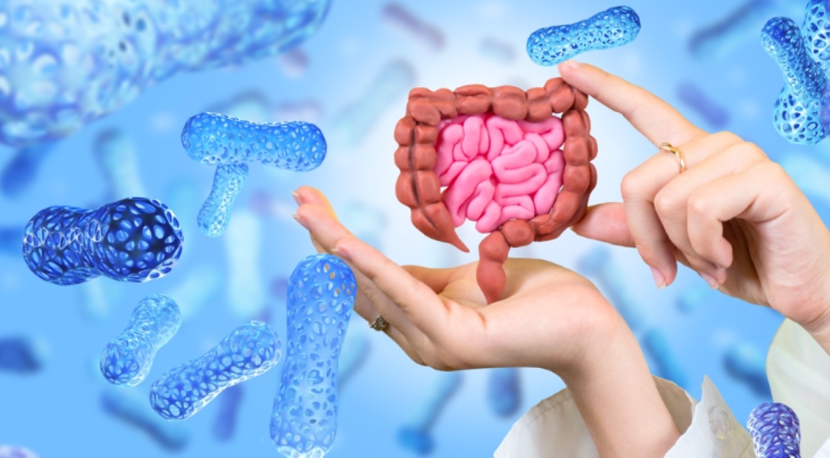 Dlaczego zdrowie jelit jest ważne?