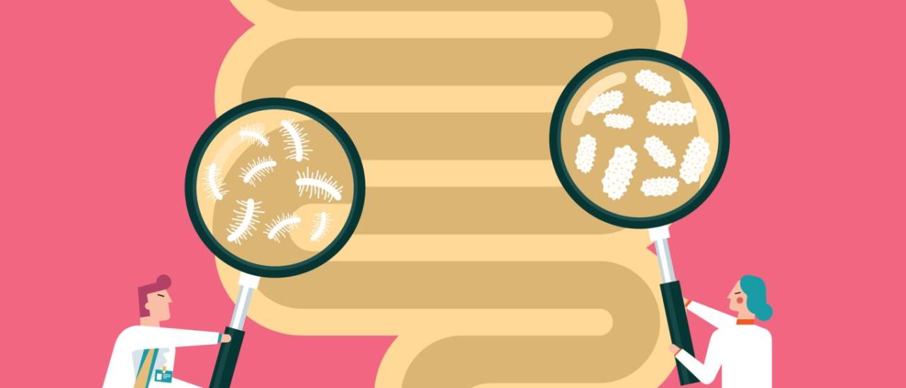 Odkrywanie korzyści płynących ze stosowania probiotyków: czy są one odpowiednie dla Ciebie?