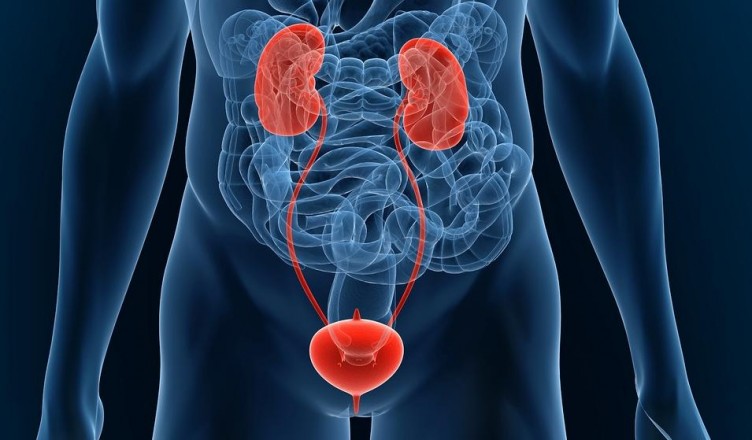 Nie pozwól, aby zapalenie dróg moczowych zrujnowało Ci życie