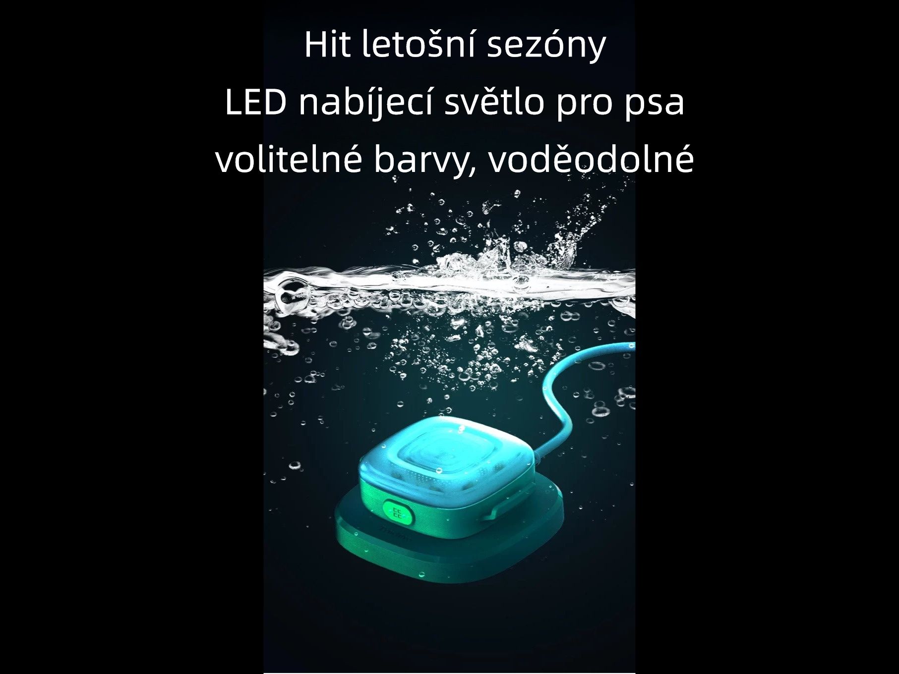 různobarevná voděodolná světla pro psy