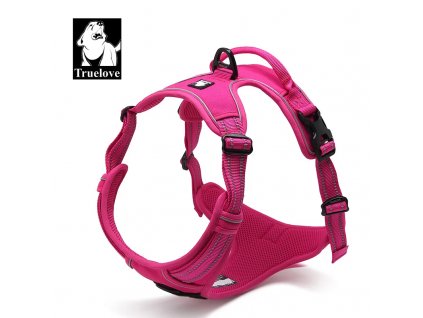 TLH5651 Fuchsia 1 fotor 20231126221947