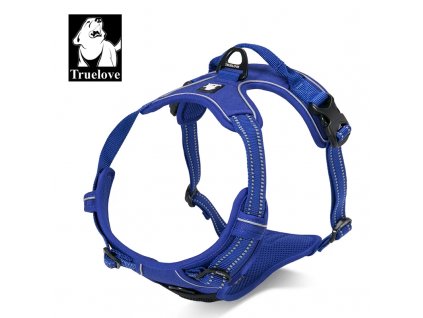 TLH5651 Royal blue 2 fotor 20231126222019