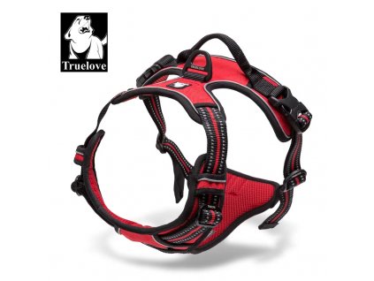 TLH5651 Red 2 fotor 2023112622205