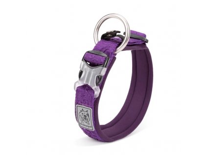 winhyepet dooley collar lila1 fotor 20240423213841