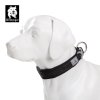 winhyepet dooley collar black3 fotor 20240423213746