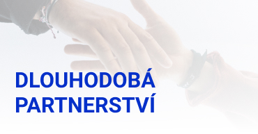 Partnerství