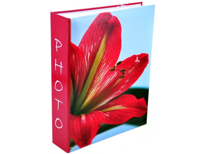 Clivia fotoalbum 200 foto