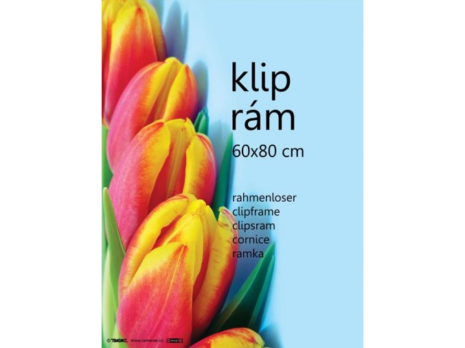 Kliprám 60x80