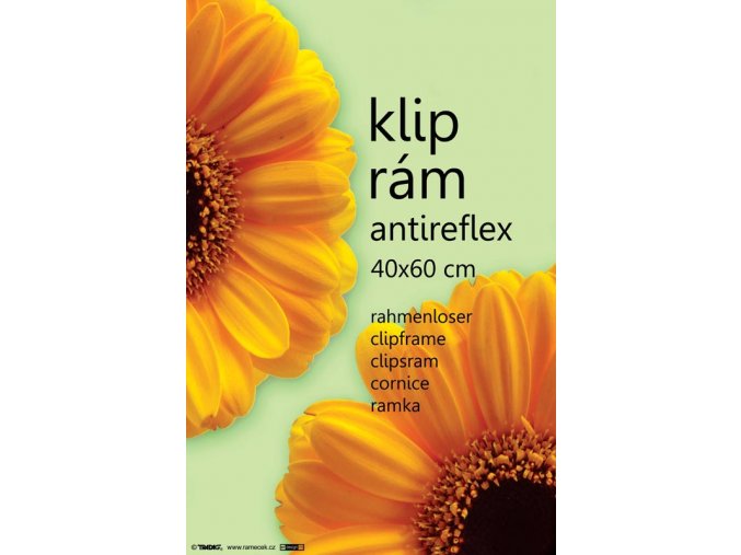 Klip antireflex 40x60