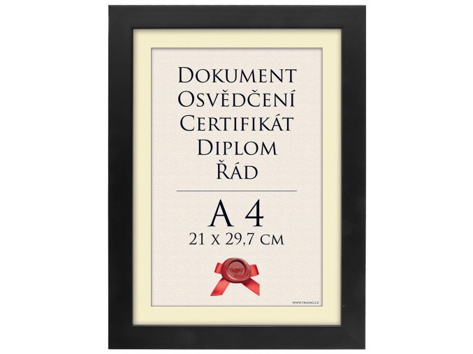 Rámeček Basic černý 21x29,7 - A4