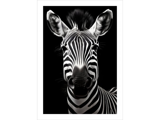 Plakát Happy zebra tisk