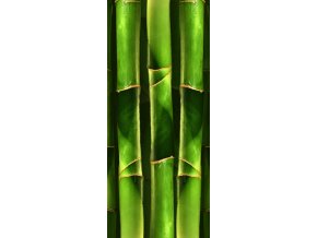Bambus obraz 30x70