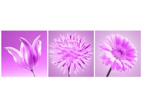 Obraz Kvety lila 20x60