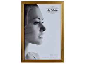 Fotorámeček Alu 10 x 15 zlatý