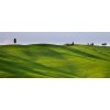 Obraz Toscana - Siena 120x50