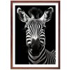 Plakát Happy zebra + hnědý rám