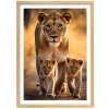 Plakát Lví máma + natur rám