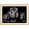 Plakát Lví rodina + natur rám