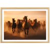 Plakát Divocí koně + natur rám