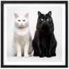 Plakát Kočky u fotografa 1 + černý rám