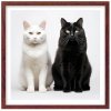 Plakát Kočky u fotografa 1 + hnědý rám