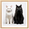 Plakát Kočky u fotografa 1 + natur rám