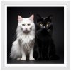 Plakát Kočky u fotografa 2 + bílý rám