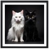 Plakát Kočky u fotografa 2 + černý rám
