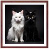 Plakát Kočky u fotografa 2 + hnědý rám