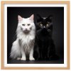 Plakát Kočky u fotografa 2 + natur rám