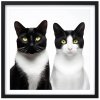 Plakát Kočky u fotografa 3 + černý rám