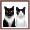 Plakát Kočky u fotografa 3 + hnědý rám