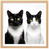 Plakát Kočky u fotografa 3 + natur rám