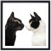 Plakát Kočky u fotografa 4 + černý rám