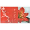 album clivia 100 10x15 2