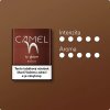 Camel Bronze2
