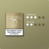 Camel Gold2