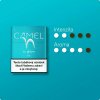 Camel Teal2