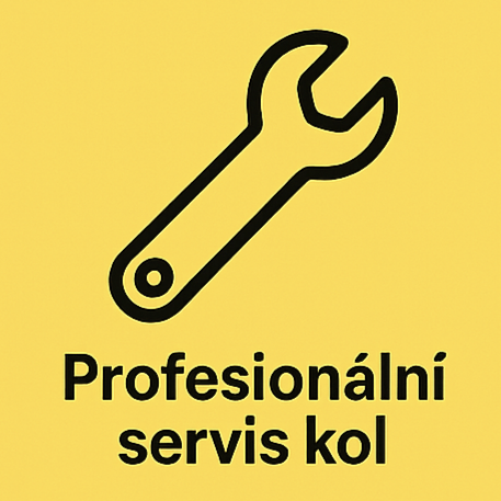 Profesionální servis kol