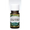 Erotika