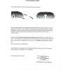 k 9118954 CYCLONE EU PROHLASENI O SHODE cert